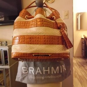 Beautiful Brahmin purse